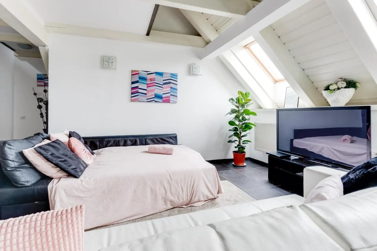 Spacious Stylish Attic In The Heart Of The Center - Karlovo براغ شقة